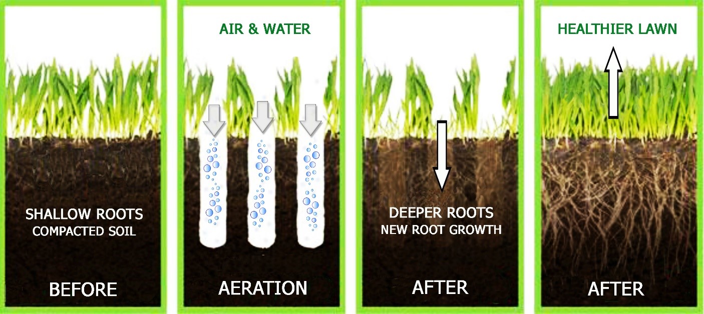 Aeration diagram